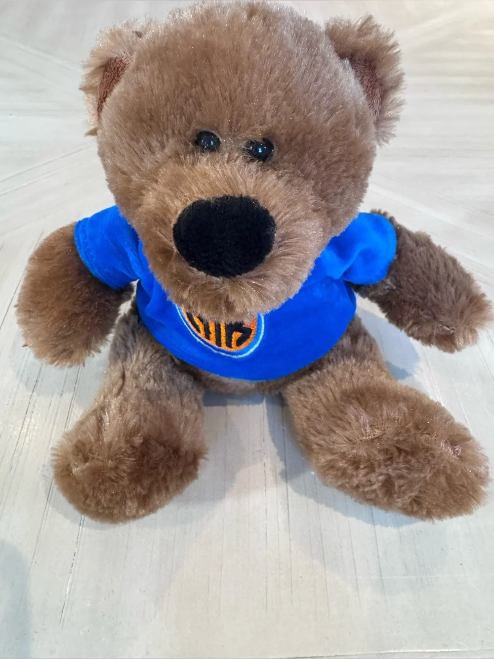 New York Knicks NBA Finals Champs Traditional Plush Bear – Royal Blue – Like New